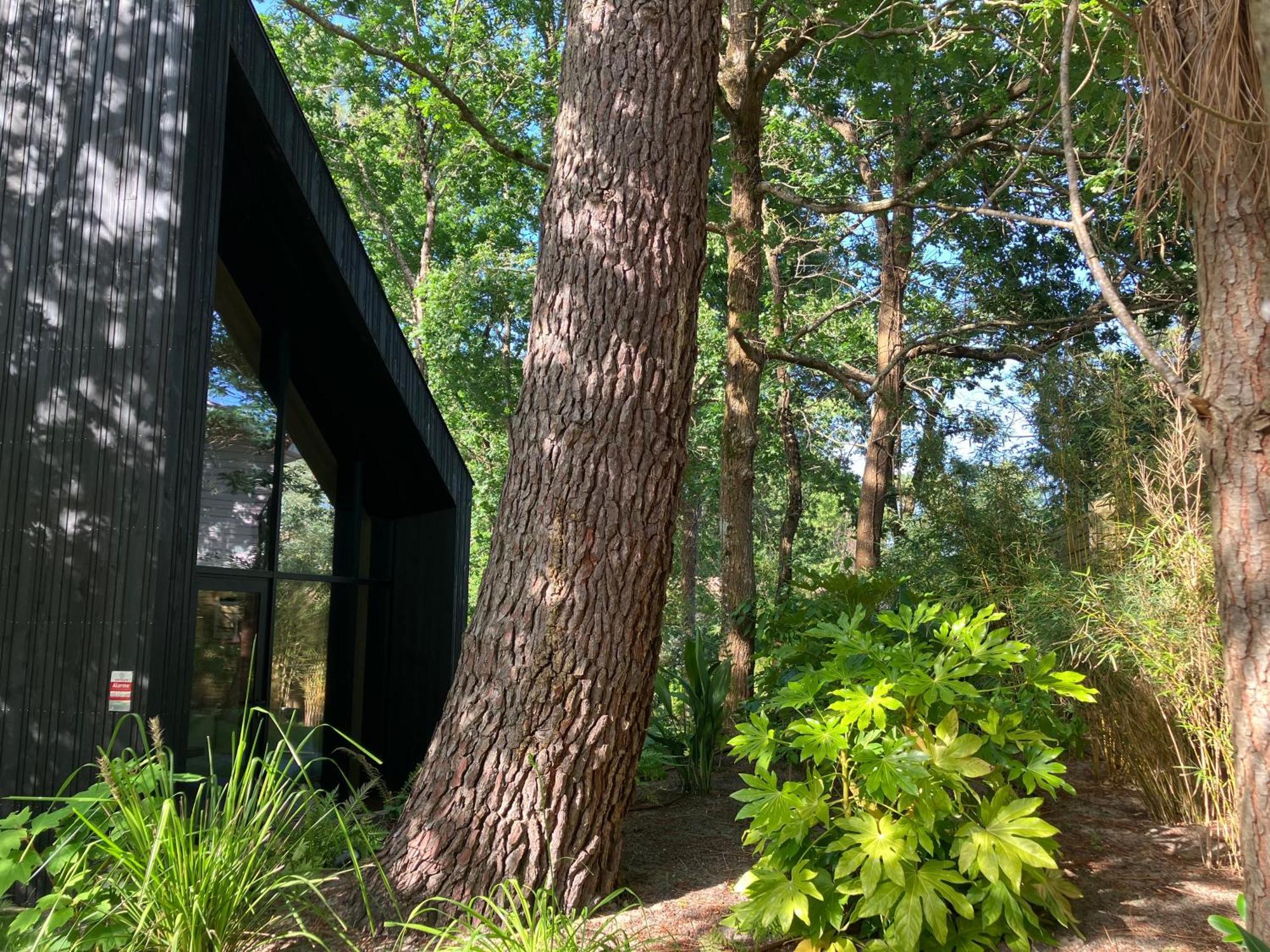 Nouveau - Ecolodge 'Calme Et Nature' - Avec Piscine Au Golf-Lac De Biscarrosse - Couchage 2 Personnes 外观 照片